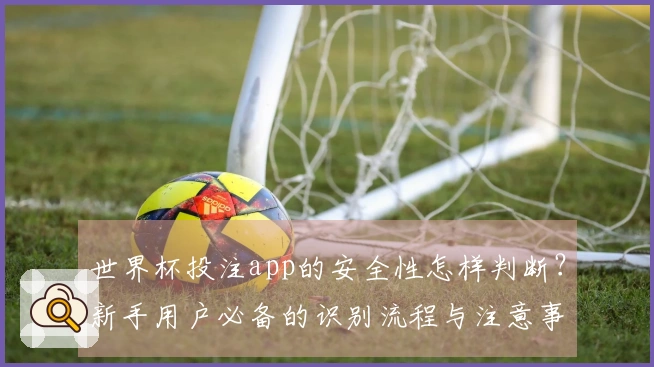 世界杯投注app的安全性怎样判断？新手用户必备的识别流程与注意事项