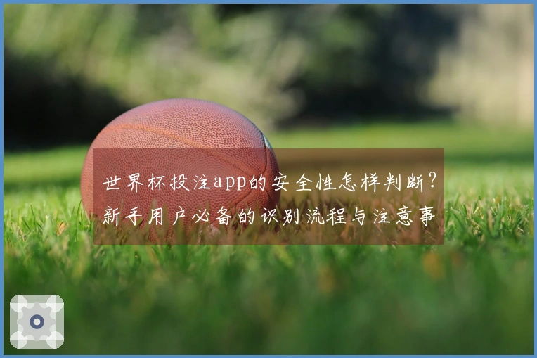 世界杯投注app的安全性怎样判断？新手用户必备的识别流程与注意事项