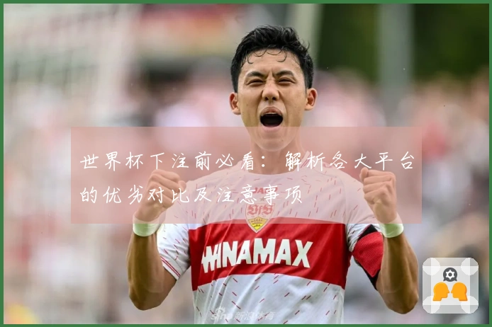 世界杯下注前必看：解析各大平台的优劣对比及注意事项