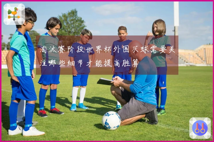 淘汰赛阶段世界杯外围买球需要关注哪些细节才能提高胜算